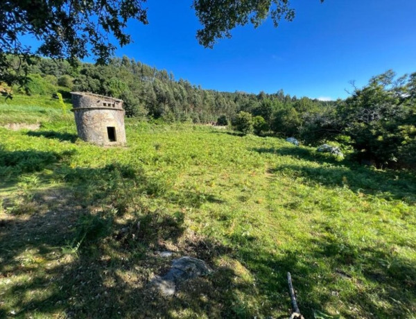 CASA TRADICIONAL GALLEGA, con ,más de 7.000 m2 de terreno urbano!