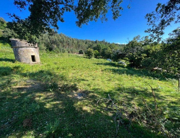 CASA TRADICIONAL GALLEGA, con ,más de 7.000 m2 de terreno urbano!