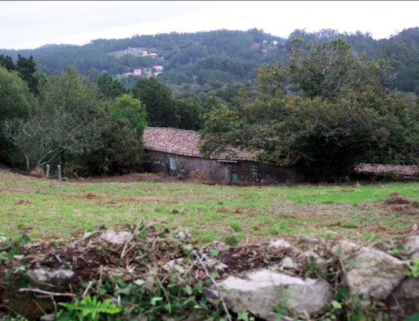 CASA TRADICIONAL GALLEGA, con ,más de 7.000 m2 de terreno urbano!