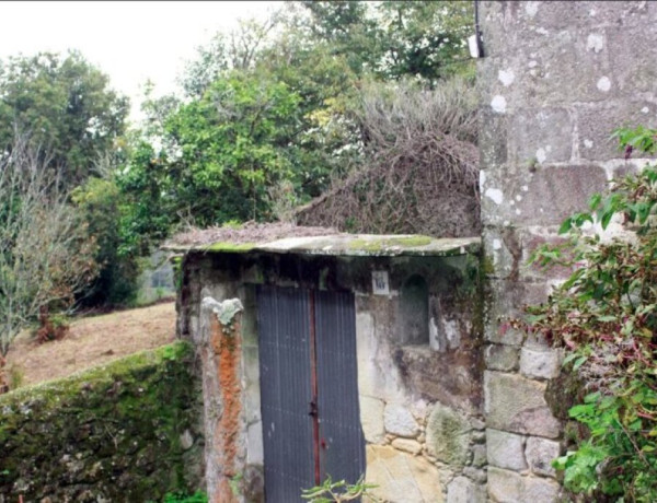 CASA TRADICIONAL GALLEGA, con ,más de 7.000 m2 de terreno urbano!