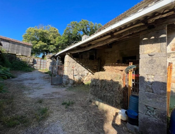 CASA TRADICIONAL GALLEGA, con ,más de 7.000 m2 de terreno urbano!