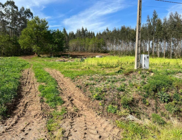 TERRENO DE 5340 M2, CON PROYECTO DE CASA INCLUIDO EN O PINO