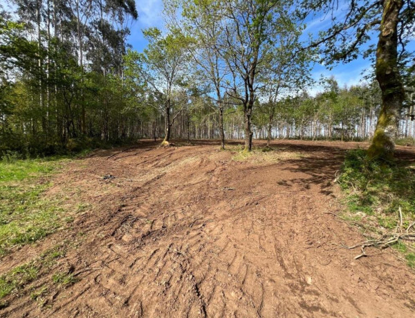 TERRENO DE 5340 M2, CON PROYECTO DE CASA INCLUIDO EN O PINO