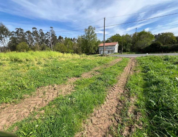 TERRENO DE 5340 M2, CON PROYECTO DE CASA INCLUIDO EN O PINO