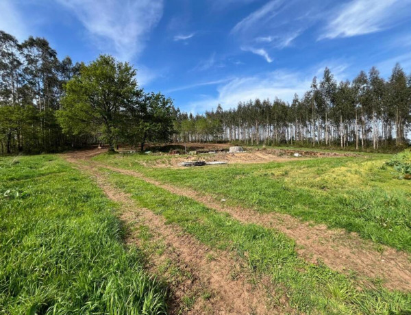 TERRENO DE 5340 M2, CON PROYECTO DE CASA INCLUIDO EN O PINO