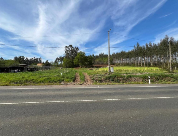 TERRENO DE 5340 M2, CON PROYECTO DE CASA INCLUIDO EN O PINO