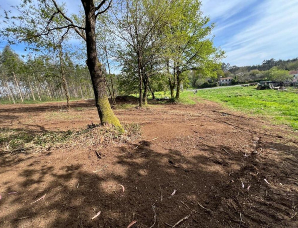 TERRENO DE 5340 M2, CON PROYECTO DE CASA INCLUIDO EN O PINO