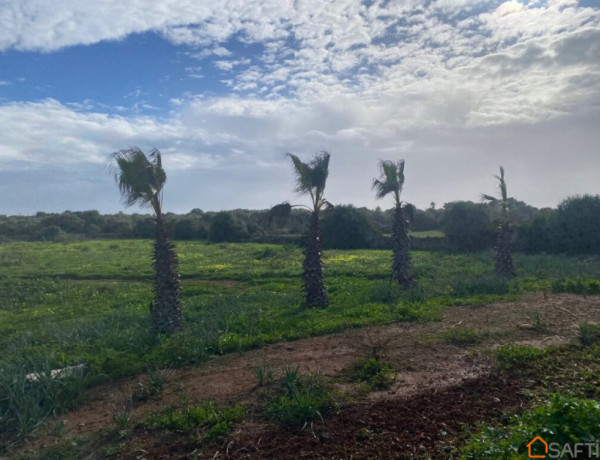 Casa en el campo entre Santanyí y Campos con vistas.