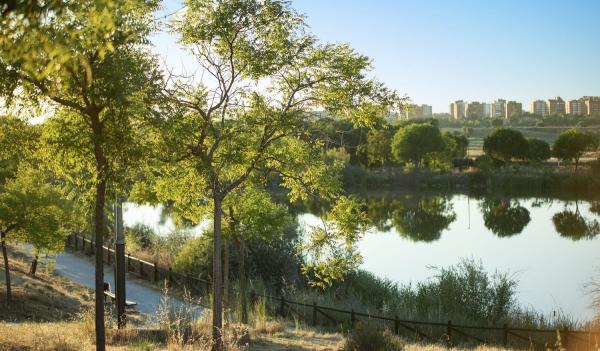 Habitat parque Mandela