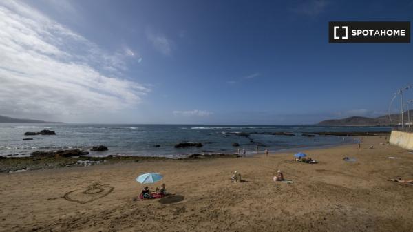 Estudio en alquiler en Las Palmas de Gran Canaria