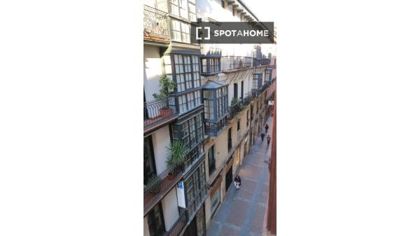 Piso de 2 habitaciones en alquiler en Casco Viejo, Bilbao