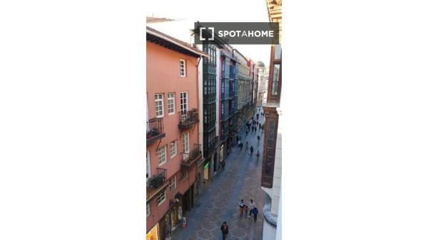 Piso de 2 habitaciones en alquiler en Casco Viejo, Bilbao