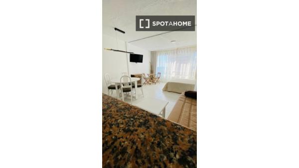 Apartamento de 1 dormitorio en alquiler en Alicante , Alicante