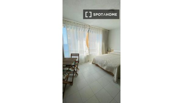 Apartamento de 1 dormitorio en alquiler en Alicante , Alicante