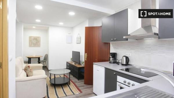 Piso de 1 dormitorio en alquiler en Huelin, Málaga