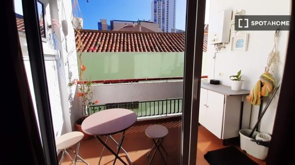 Apartamento tipo estudio en alquiler en Puerto De La Cruz, Tenerife