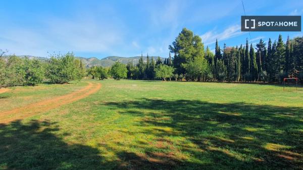 Estudio en Palmanyola