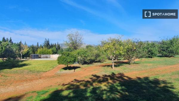 Estudio en Palmanyola