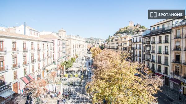 Estudio en alquiler en Centro, Granada