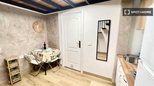 Apartamento tipo estudio en alquiler en Las Palmas De Gran Canaria