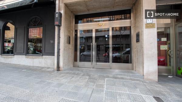 Piso completo de 1 dormitorio en Bilbao