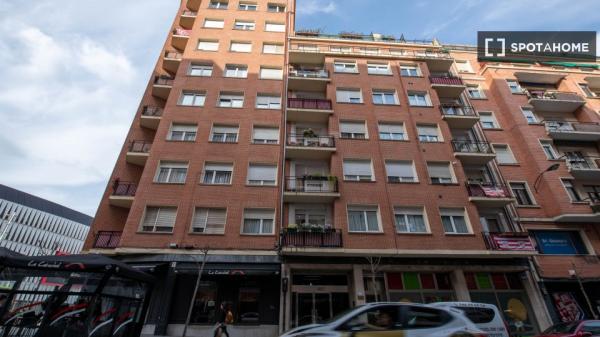 Piso completo de 1 dormitorio en Bilbao