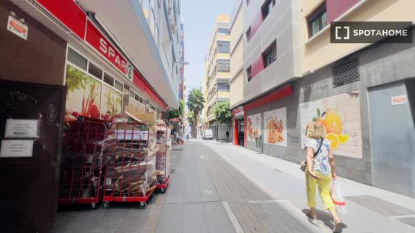 Estudio en Las Palmas de Gran Canaria