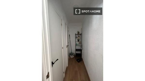 Chambre en colocation à Alicante (Alacant)