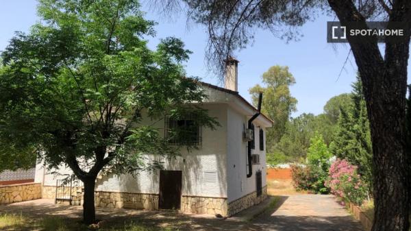 Piso en alquiler de 3 habitaciones en Córdoba