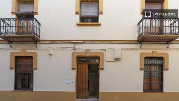 Estudio en Sevilla