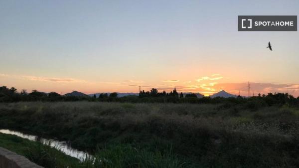 Piso de 1 dormitorio en alquiler en Oliva, Valencia