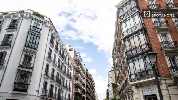 Amplio apartamento de 1 dormitorio en alquiler en Salamanca, Madrid