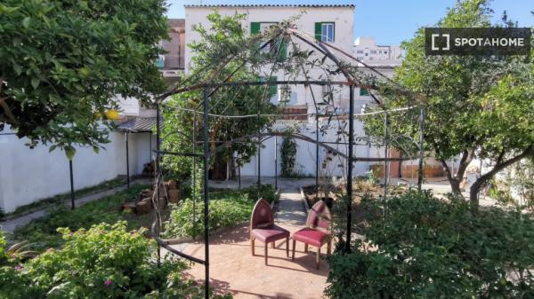 Se alquila habitación en piso compartido en Palma