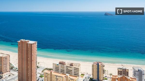 Apartamento entero de 2 dormitorios en Benidorm