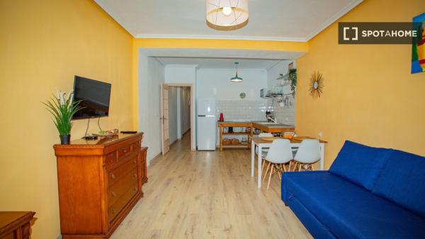 Apartamento entero de 1 dormitorio en Torrevieja