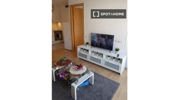 Apartamento entero de 1 dormitorio en Barcelona