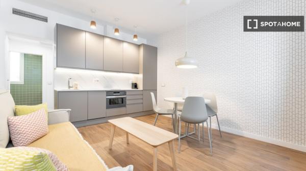 Apartamento entero de 1 habitaciones en Madrid