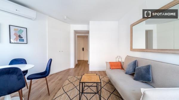 Apartamento entero de 1 habitaciones en Madrid