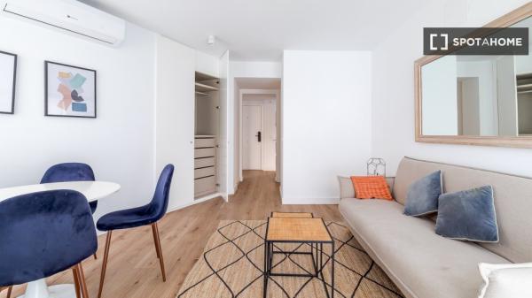 Apartamento entero de 1 habitaciones en Madrid