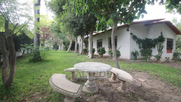 Casa independiente en calle del Manzano, 4