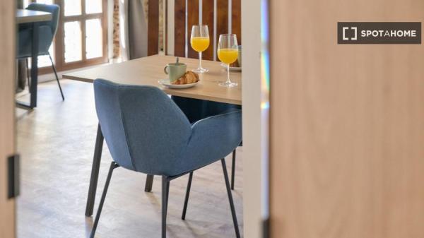 apartamento de 1 dormitorio en alquiler en Ciutat Vella, Valencia