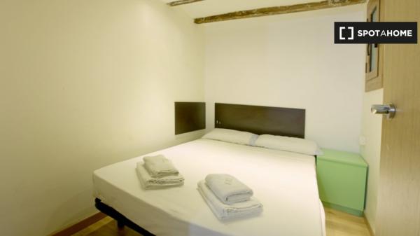 Apartamento de 1 dormitorio en alquiler en Ciutat Vella, Barcelona.