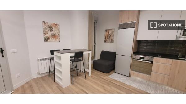 Appartement entier 1 chambre à Madrid