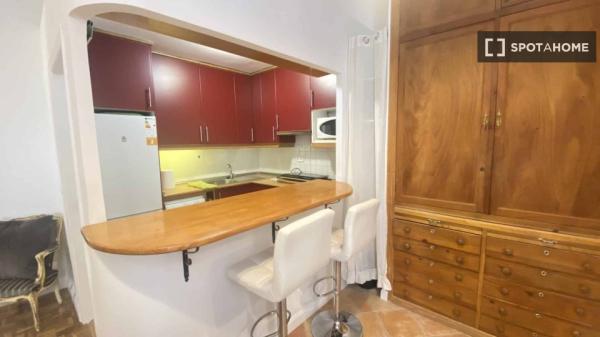 Apartamento de 1 dormitorio en alquiler en Opera, Madrid