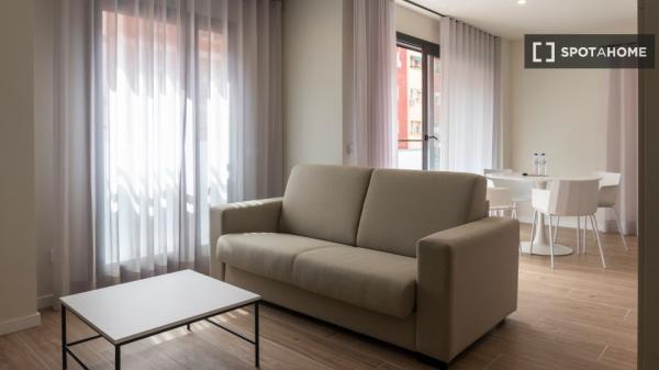 Appartement entier 1 chambre à coucher à València