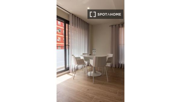 Appartement entier 1 chambre à coucher à València