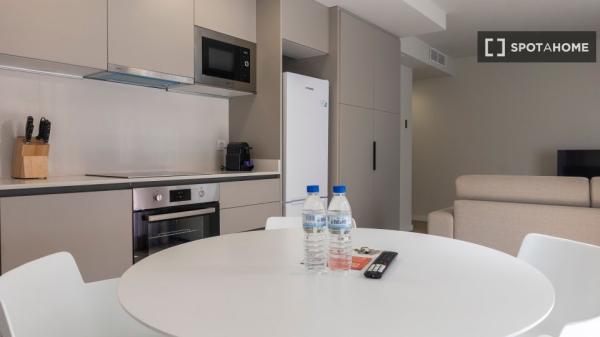 Appartement entier 1 chambre à coucher à València