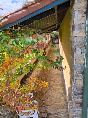 Casa independiente en Golondrina, 19