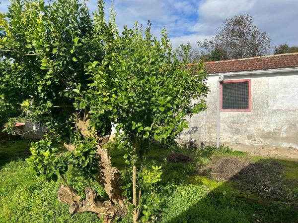 Casa independiente en Aldea Catasol