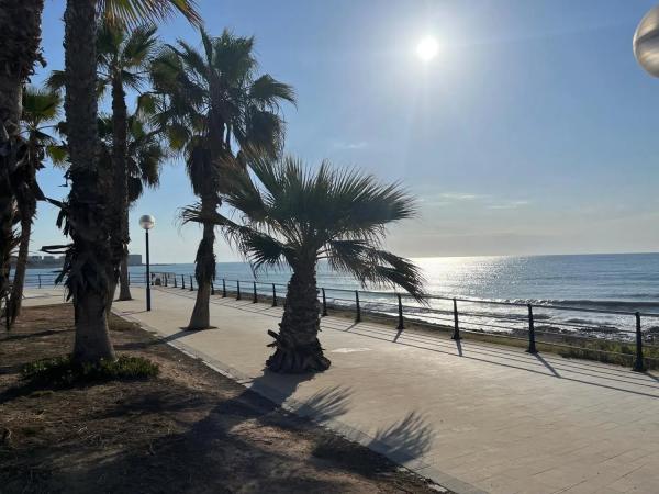 Piso en Barrio Playa Flamenca